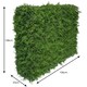 image 2 of True Products Premium Freestanding Artificial Fern Hedge on Metal Frame - Medium