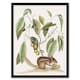 image 1 of Ground Squirrel and Wild Nutmeg Mark Catesby Framed Wall Art Print 12X16"