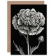 image 1 of Carnation Flower Bloom Lover Day Birthday Card