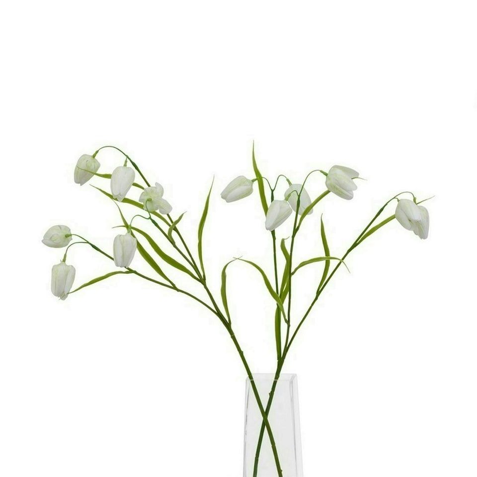 image 1 of The Natural Garden Collection Fritillaria (Single Stem Flower) - Plastic - L22 x W22 x H58 cm - White