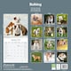 image 2 of Bulldog 2026 Calendar | Square Wall Calendar | Dog Breed Gift | Plastic Free Packaging | by Avonside Publishing