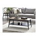 image 1 of Walnut and Black Coffee Table with Shelf | Black | Black