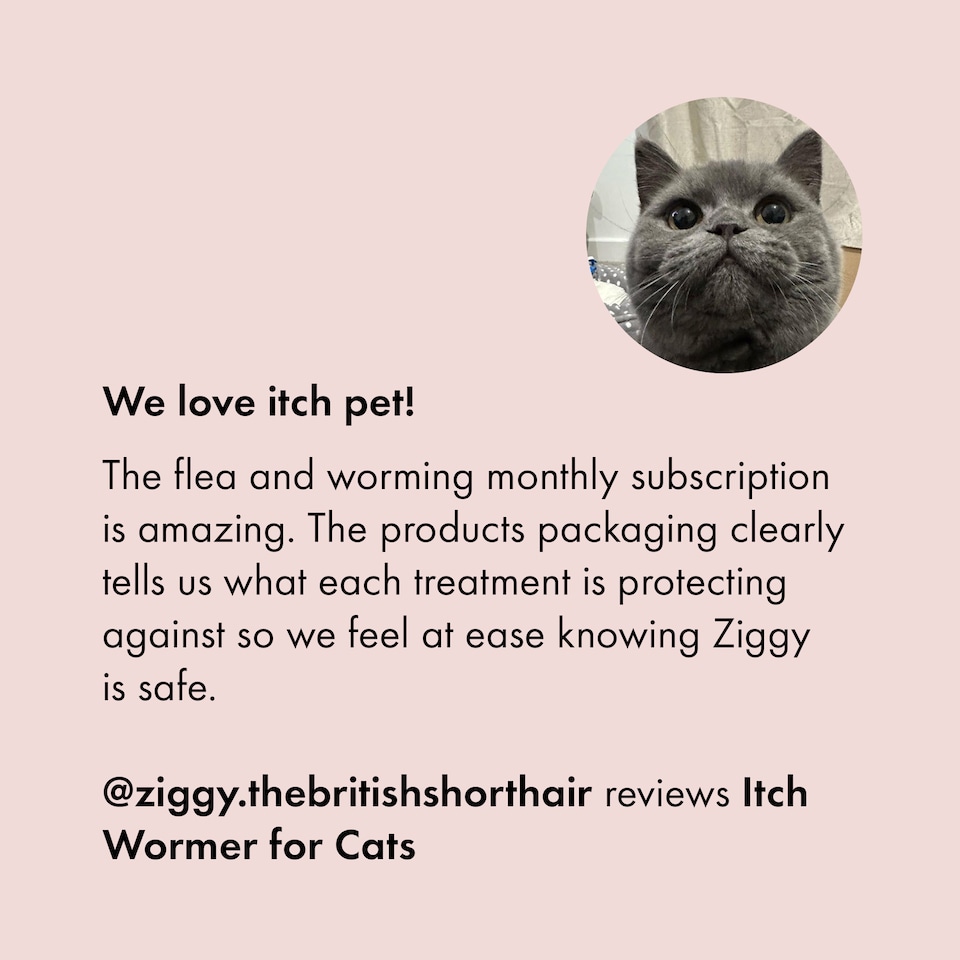 image 1 of Itch Cat Wormer Tablets for Cats 1kg+ 4 Tablets