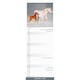 image 3 of Horses Slim 2026 Calendar | Slimline Wall Calendar | Animal Gift | Plastic Free Packaging | by Avonside Publishing [Calendar] Avonside Publishing Ltd