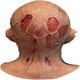 image 3 of Freddy Mask Nightmare On Elm Street 4 Multi | brown