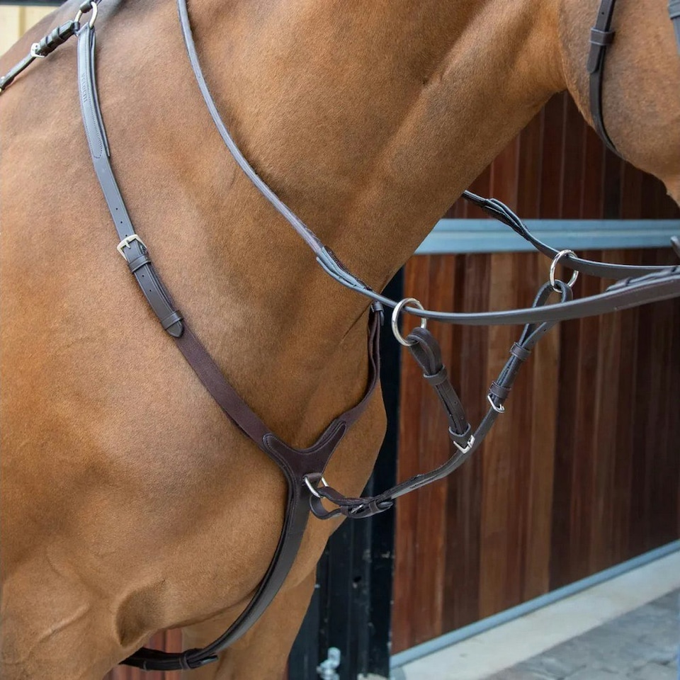 image 1 of Velociti Lusso Leather Horse Breastplate - Havana - Pony