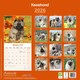 image 2 of Keeshond 2026 Calendar | Square Wall Calendar | Dog Breed Gift | Plastic Free Packaging | by Avonside Publishing