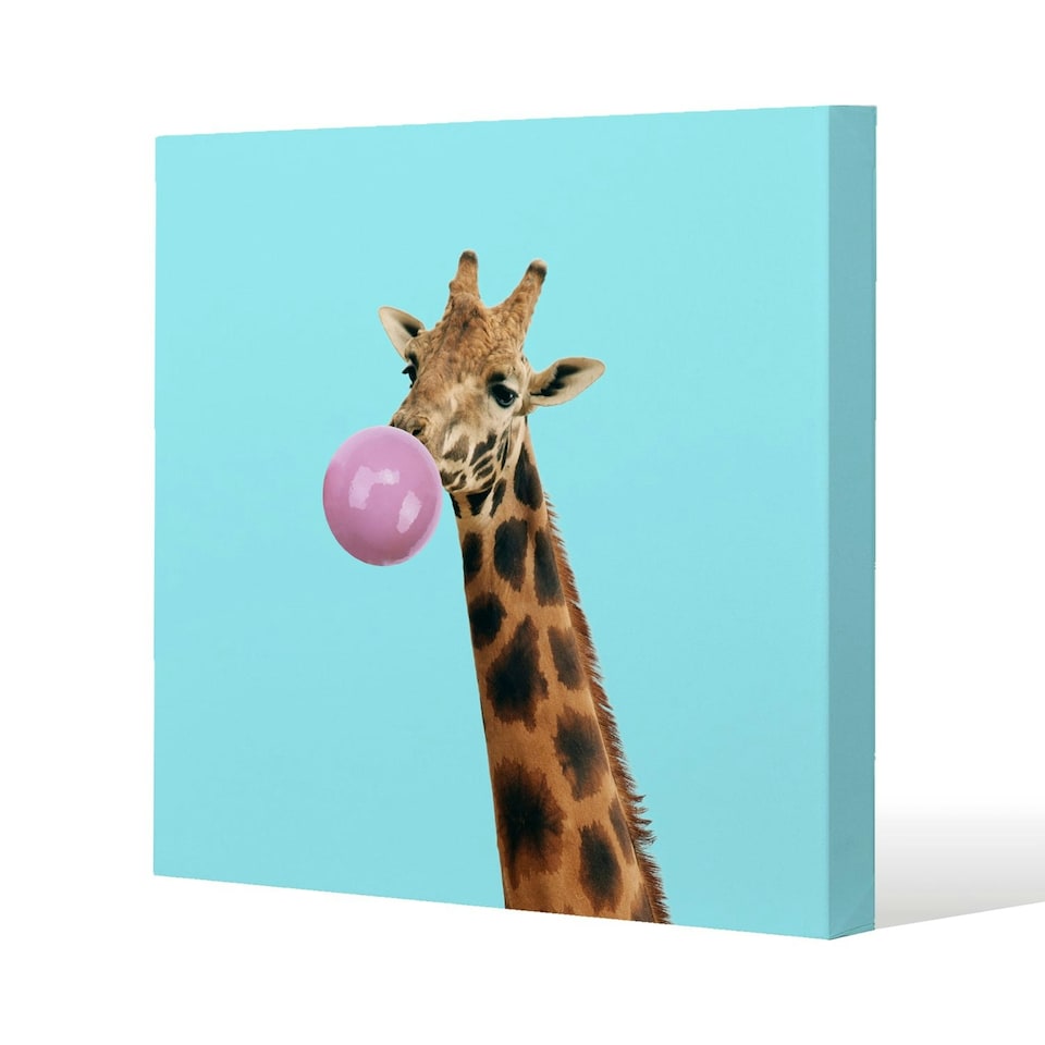 image 1 of bubble gum on color background (Canvas Print) 114 x 114 x 4cm