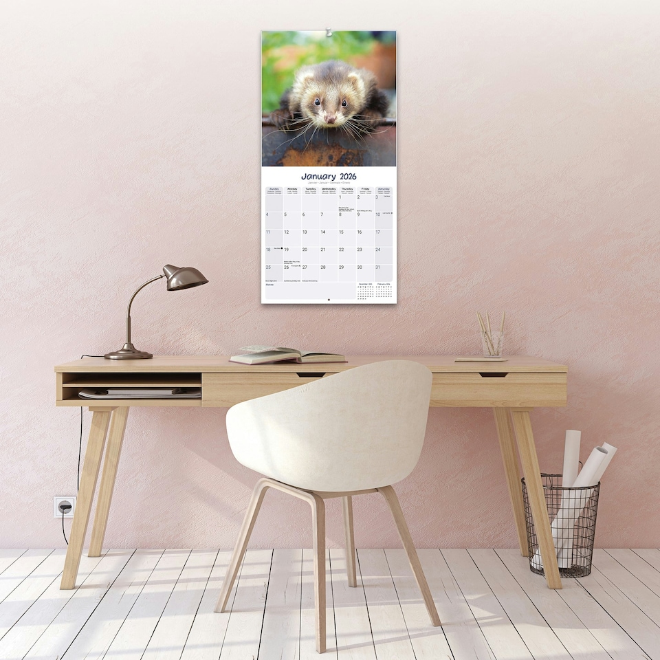 image 1 of Ferrets 2026 Calendar | Square Wall Calendar | Animal Gift | Plastic Free Packaging | by Avonside Publishing