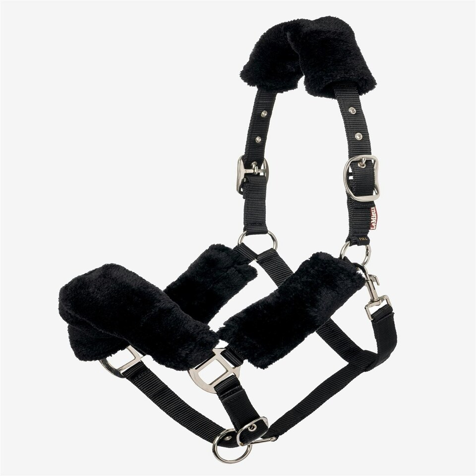 image 1 of LeMieux Comfort Headcollar Blue | X-Full