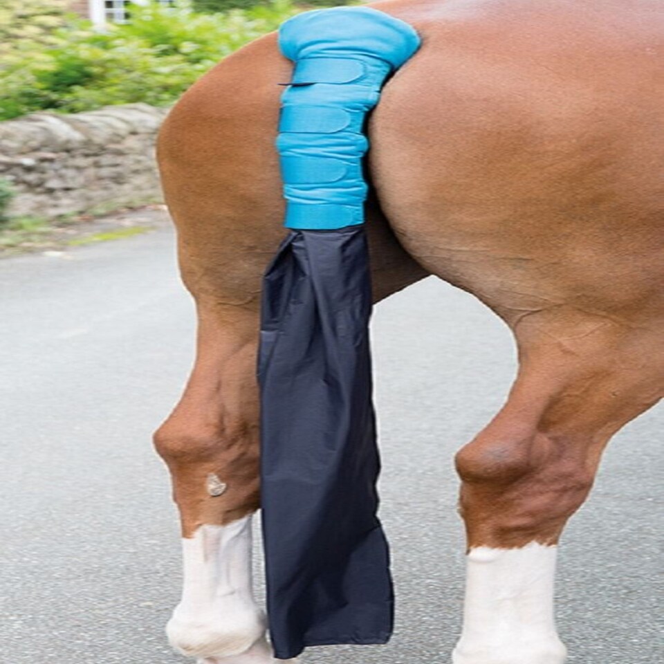 image 1 of Shires Padded Tail Guard With Bag Purple | Colour: Purple
Size: One Size