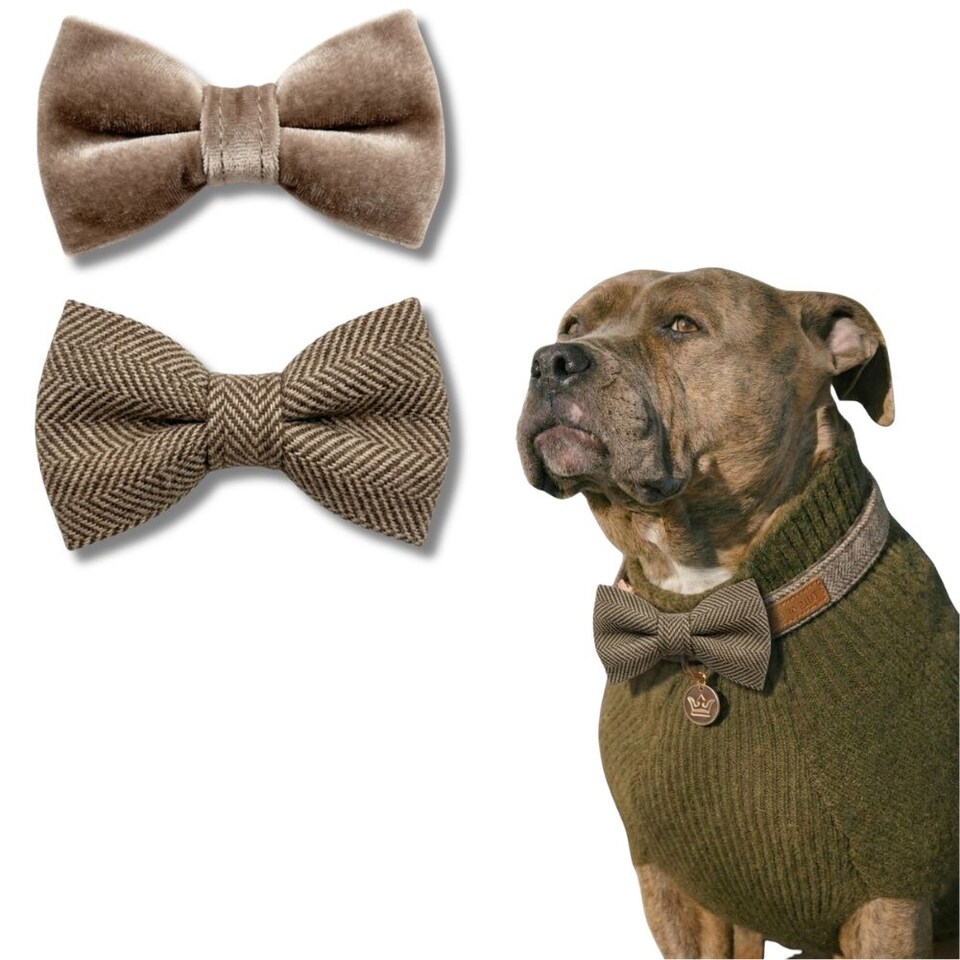 image 1 of Tails of Glory Brown Tweed and Velvet Bow Set