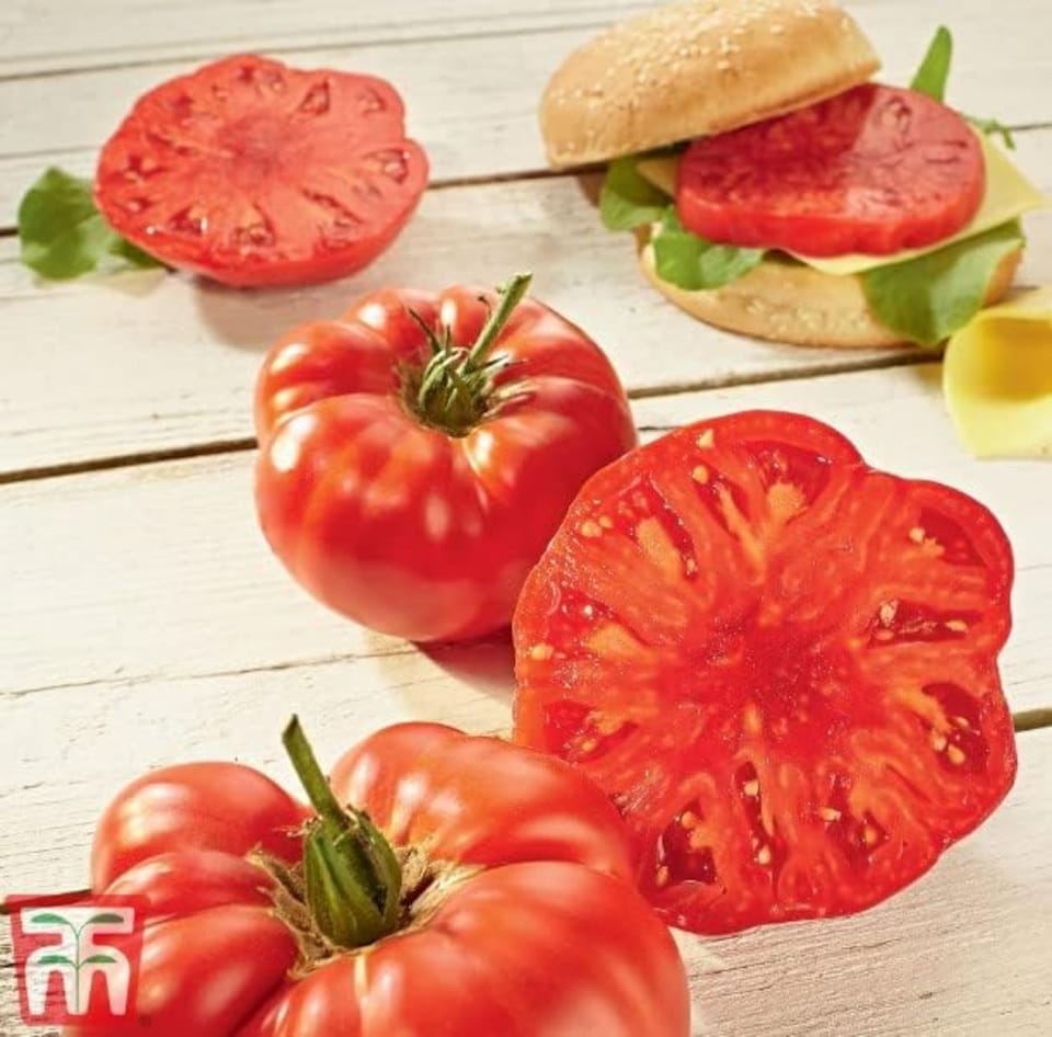 Tomato Buffalosteak F1 1 Seed Packet (4 Seeds)