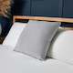 image 1 of BHS Matte Velvet Cushion, Silver