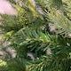 image 4 of Everlands 150cm (5ft) Green Grandis Fir Real Look Christmas Tree 1038 Tips