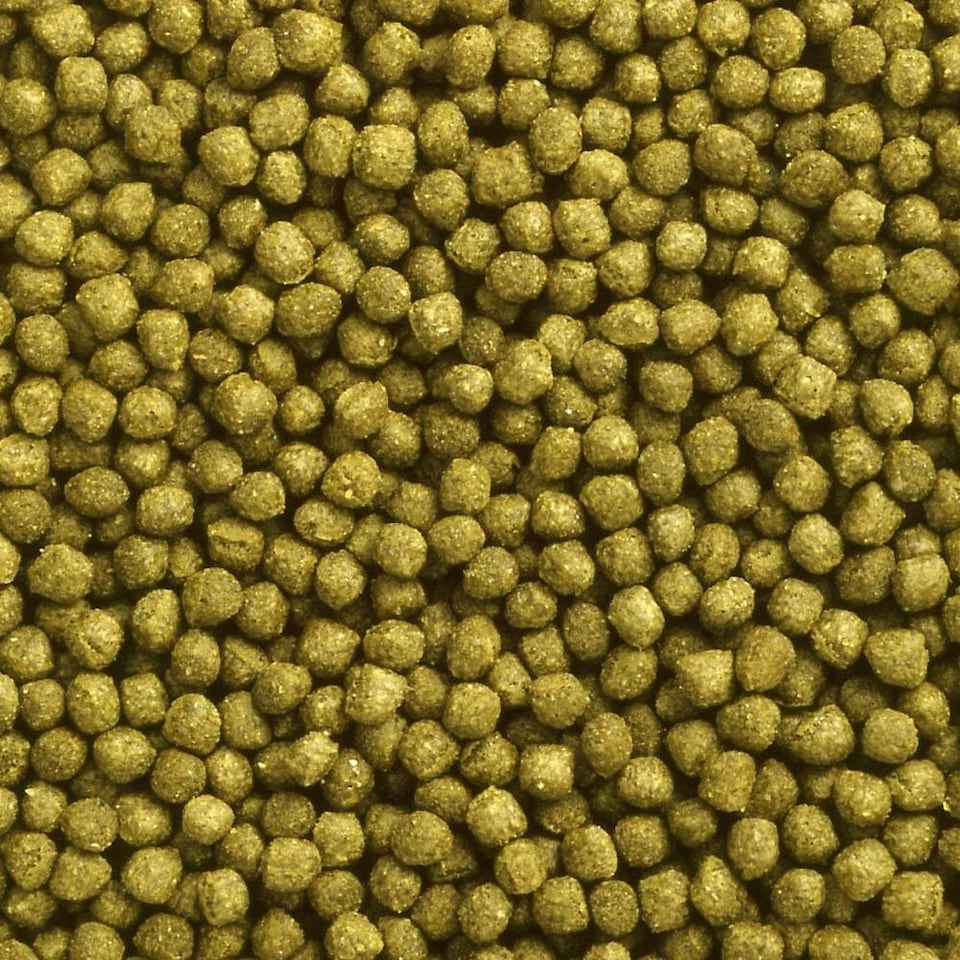 image 1 of Hikari Oranda Gold Pellets 100g
