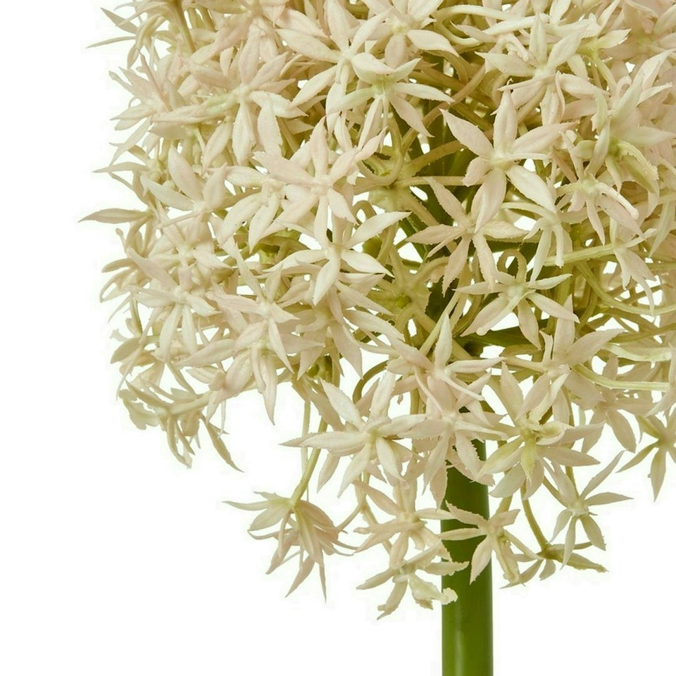 image 1 of Pink Medium Allium (Single Stem Flower) - Plastic - L16 x W16 x H80 cm - Pink