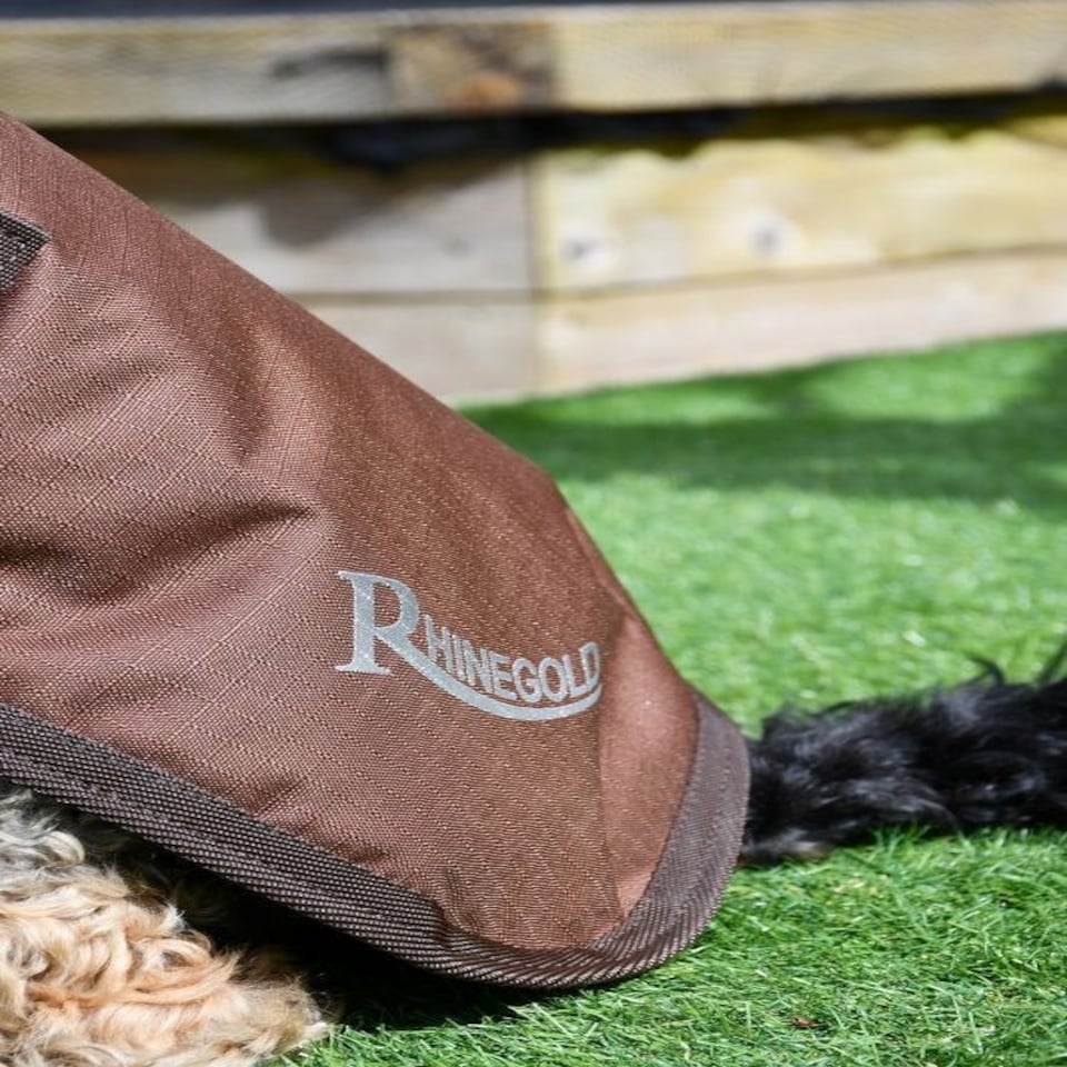 image 1 of Rhinegold Waterproof Dog Coat Blue | L