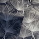 image 2 of Harmony Dandelion Navy/Silver