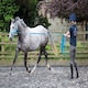 image 3 of Shires Fleece Lined Lunge Cavesson Black | Size: X-Full
Colour: Black