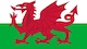 image 2 of Welsh Flag 2ft x 3ft | Multi