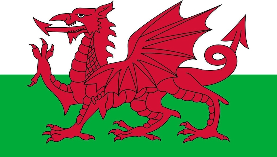 image 1 of Welsh Flag 2ft x 3ft | Multi