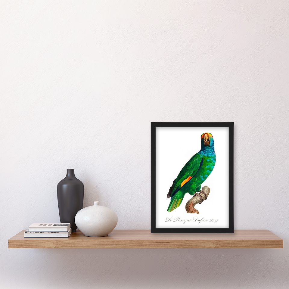 image 1 of Francois Levaillant Framed Wall Art The Blue Cheeked Amazon Parrot Home Décor