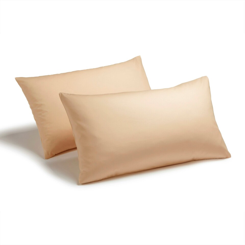Charlotte Thomas Poetry Polycotton Housewife Pillowcase Pair Biscuit - 50 x 75cm Cream | Biscuit