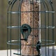 image 6 of Samuel Alexander Metal Hanging Bird Seed Feeder with Squirrel Guard