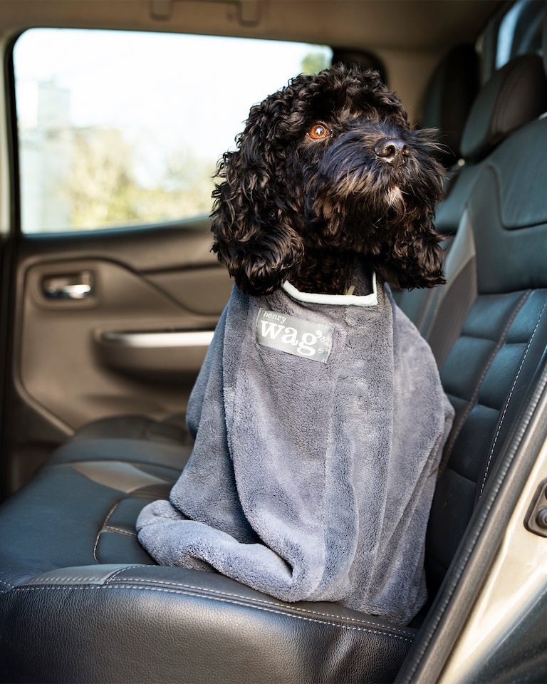 image 1 of Henry Wag Dog Drying Bag Effective At Removing Dirt And Water From Your Dog's Coat, Size X-Large | Grey | Grey | XL | 1