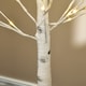 image 9 of HOMCOM 5ft Artificial White Birch Tree Light with Warm White PreLit LED Light for Indoor and Covered Outdoor Use