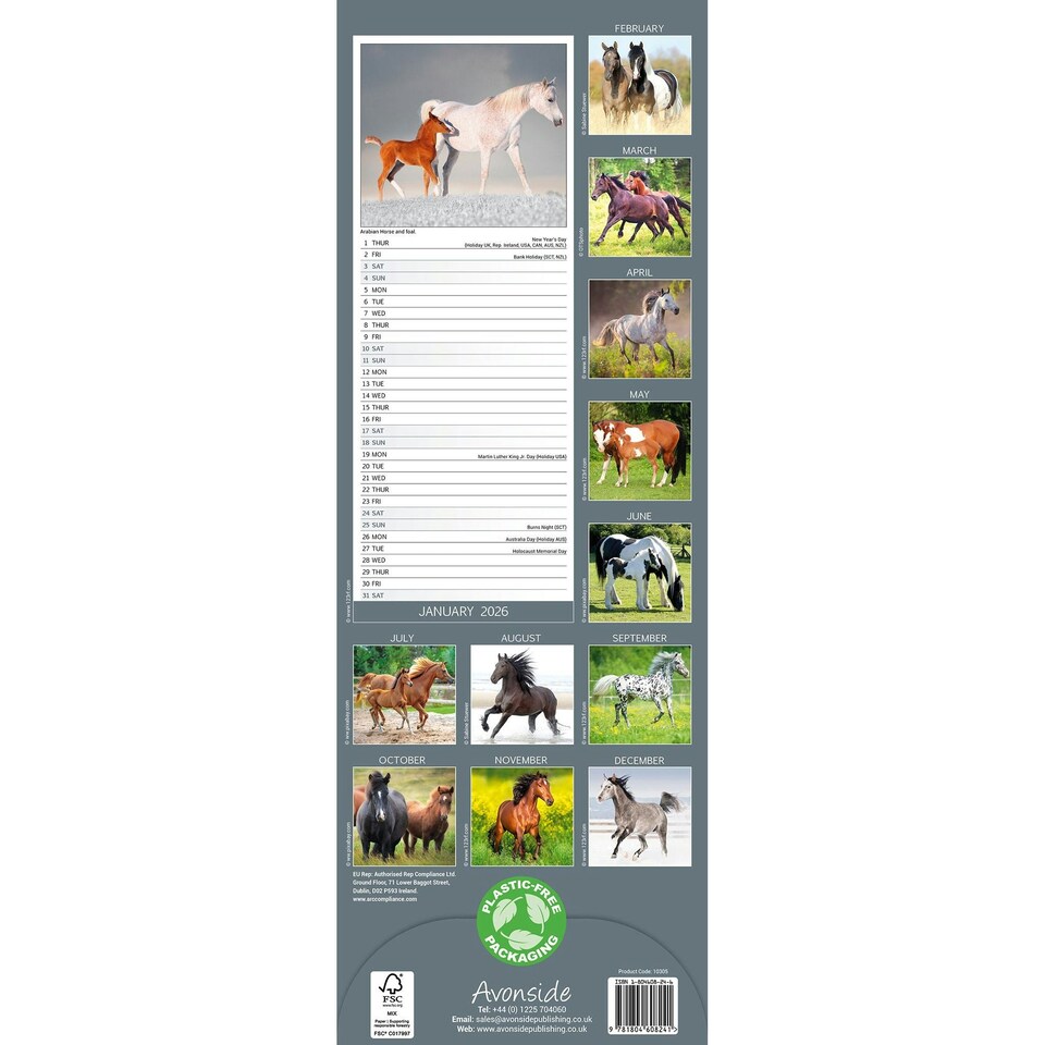 image 1 of Horses Slim 2026 Calendar | Slimline Wall Calendar | Animal Gift | Plastic Free Packaging | by Avonside Publishing [Calendar] Avonside Publishing Ltd