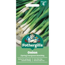Mr. Fothergills Onion Seeds - Evergreen
