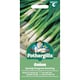 image 1 of Mr. Fothergills Onion Seeds - Evergreen