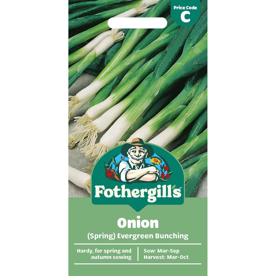 image 1 of Mr. Fothergills Onion Seeds - Evergreen