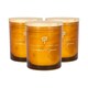 image 1 of Nicola Spring Soy Wax Scented Candles - 130g - Sandalwood & Jasmine - Pack of 3 | Orange | Orange