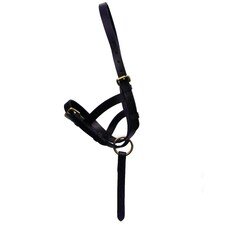 Hy Leather Foal Slip - Brown - Small