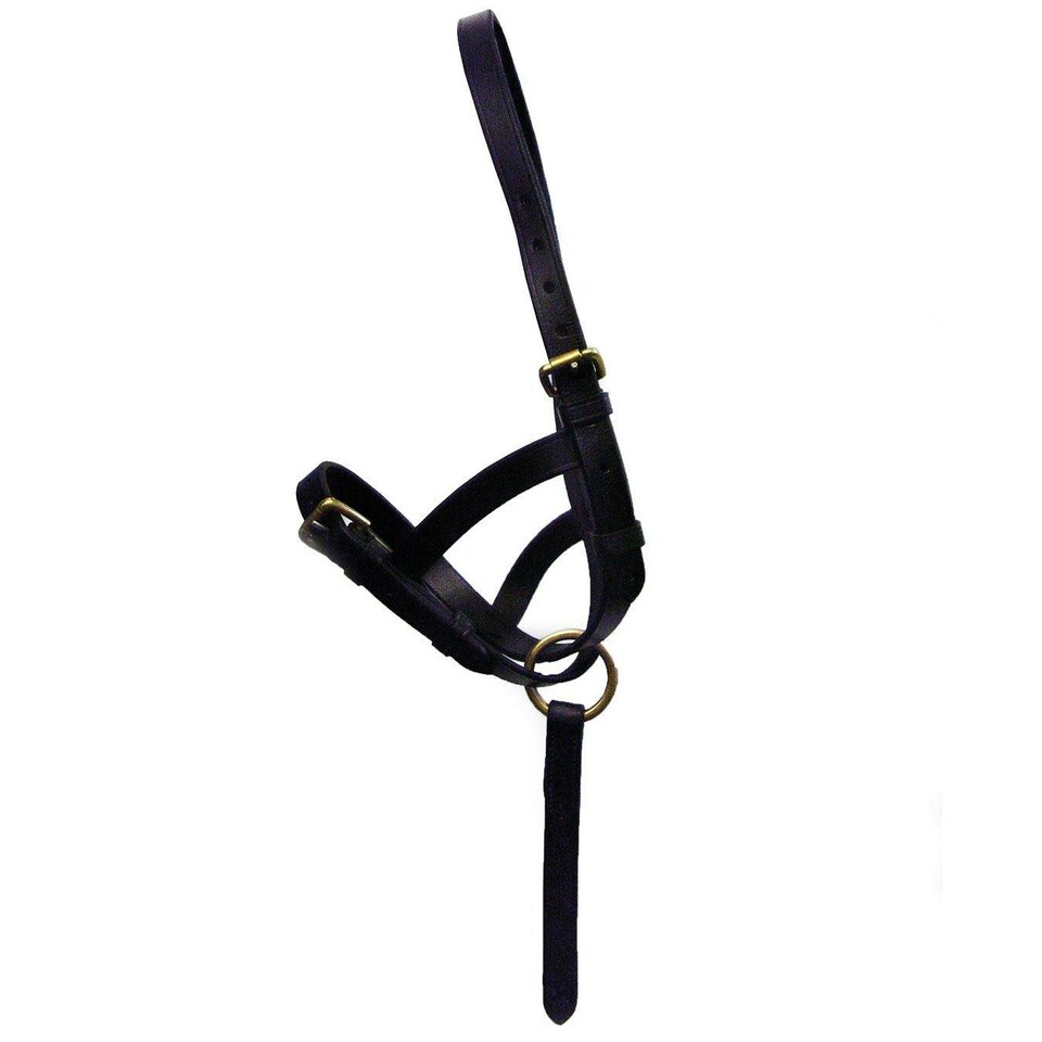 Hy Leather Foal Slip - Brown - Small