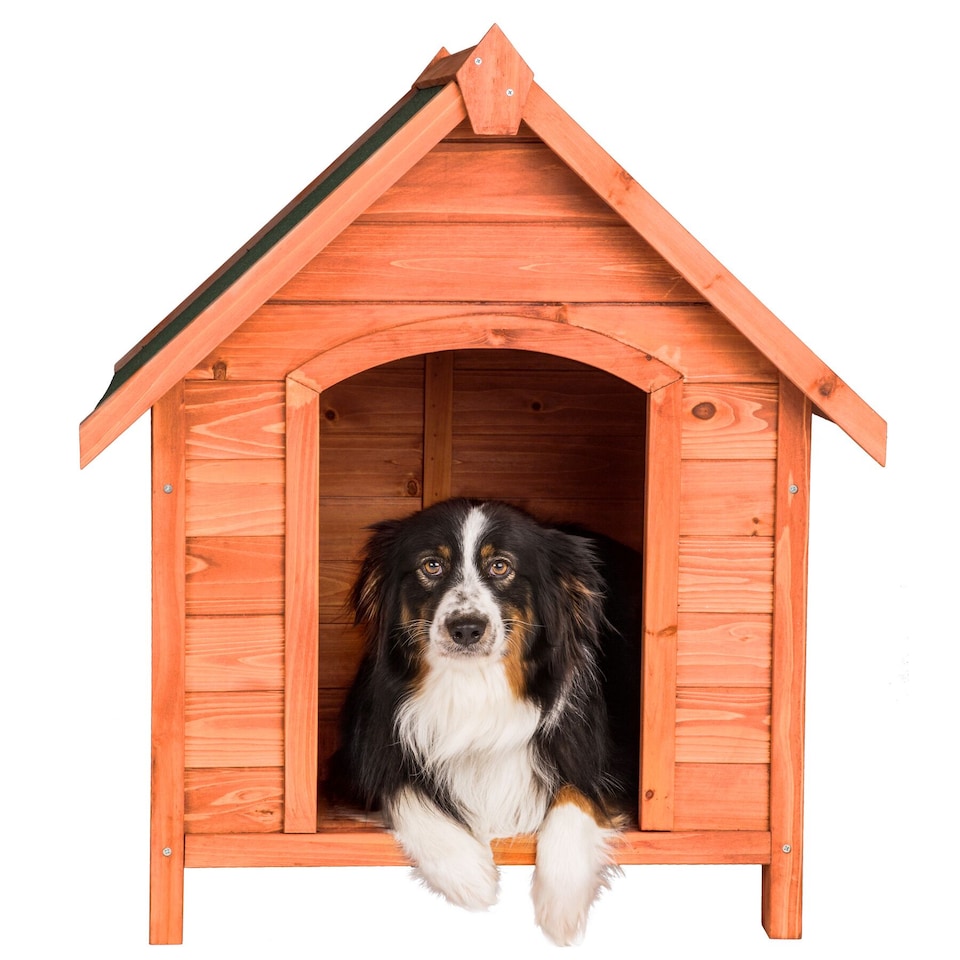 image 1 of Dog Kennel Bailey - weatherproof outdoor dog house, 72 x 65 x 83 cm