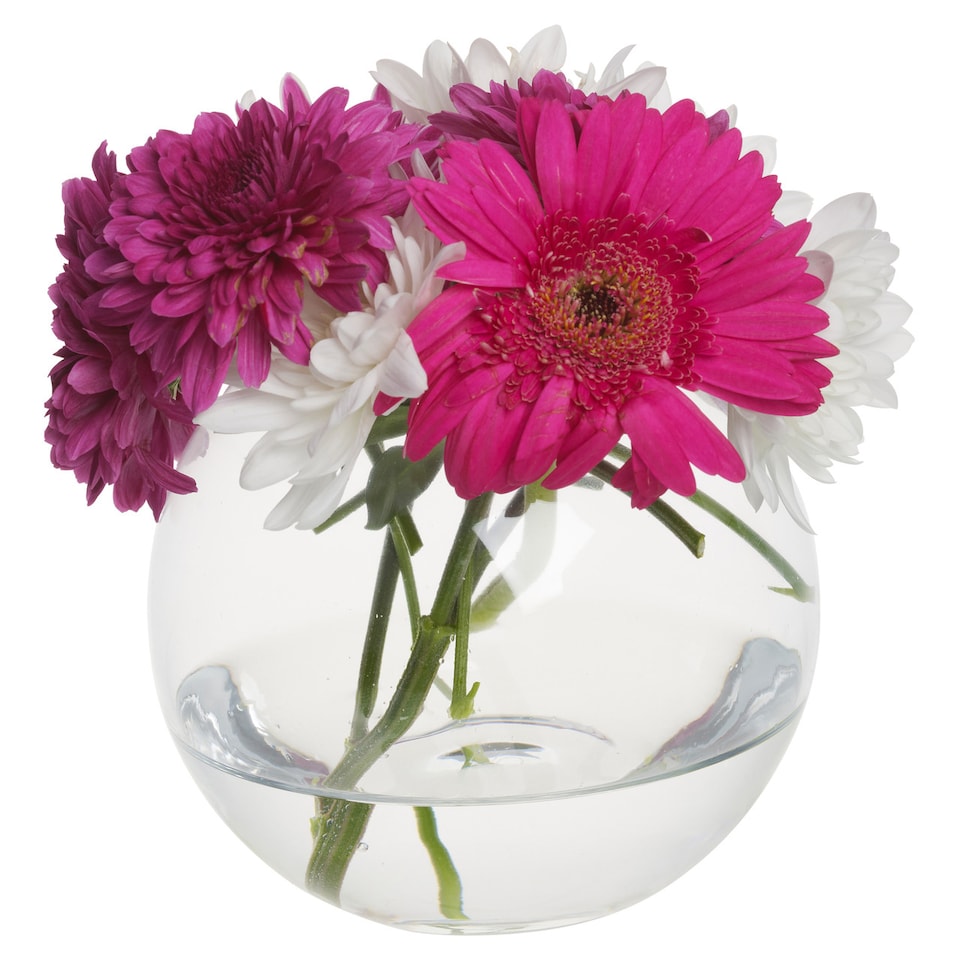 image 1 of Large Round Glass Vase Fish Bowl