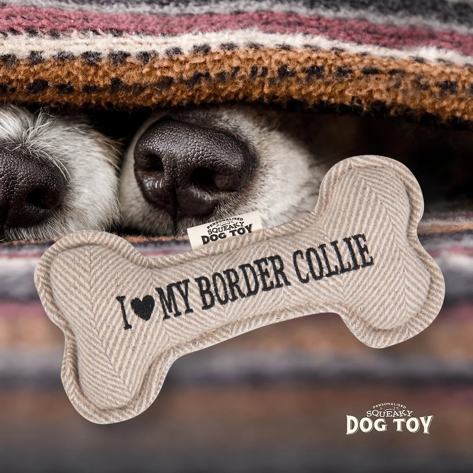 image 1 of History & Heraldry Pre-Personalised Squeaky Bone Dog Toy - Border Collie