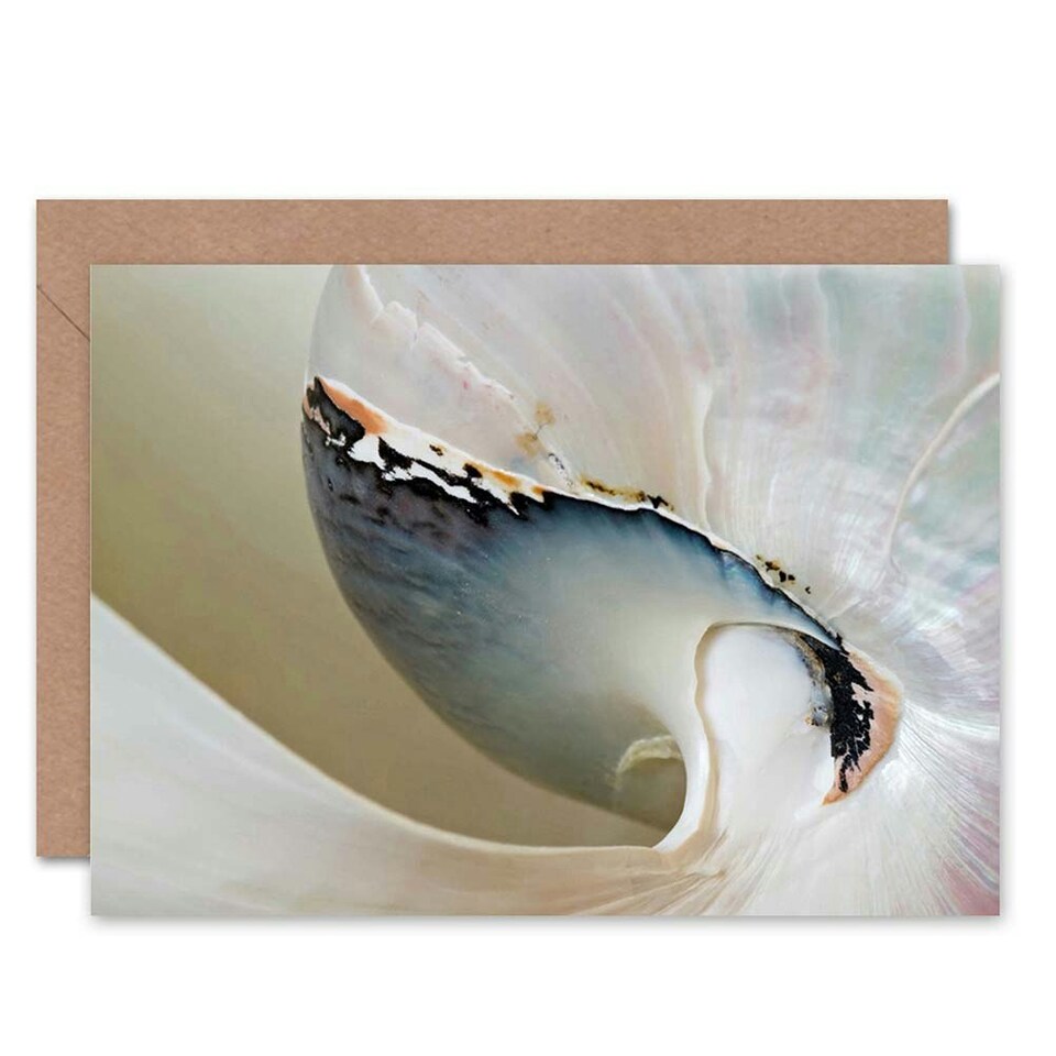 image 1 of Dt Abstract Macro Shell Birthday Card