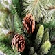 image 7 of 7FT Californian Boulder Bushy Look Luxurious Forest Green Artificial Christmas Tree Pine Cones Hinged Branches | Green | Green | 7ft