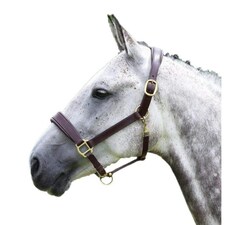 Blenheim Leather Travel Horse Headcollar - Havana - Cob