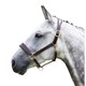 image 1 of Blenheim Leather Travel Horse Headcollar - Havana - Cob