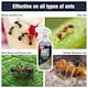 image 3 of Spear & Jackson Ant Repellent - Peppermint Scent 500ml