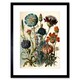 image 1 of Vintage Botanical Ernst Haeckel Plant Study 9x7" Black Framed Wall Art Print