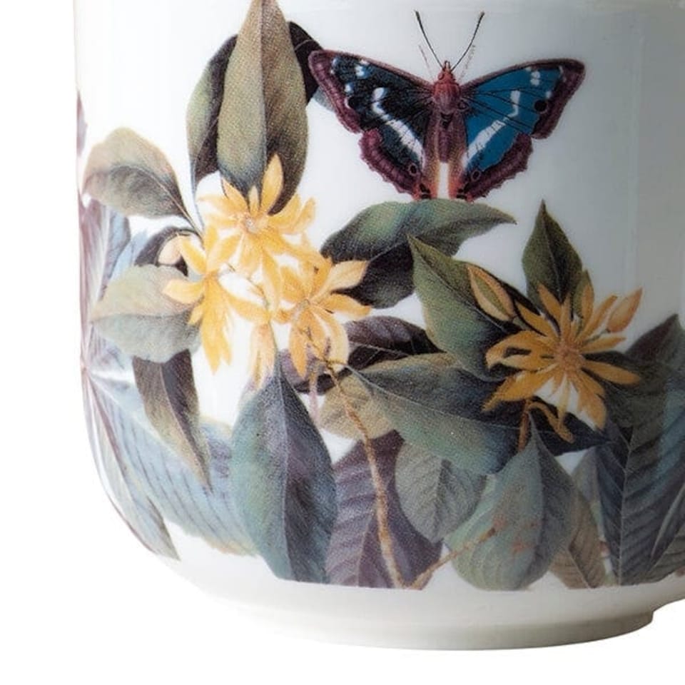 image 1 of Royal Botanic Gardens Kew Midnight Floral White Mug 290ml
