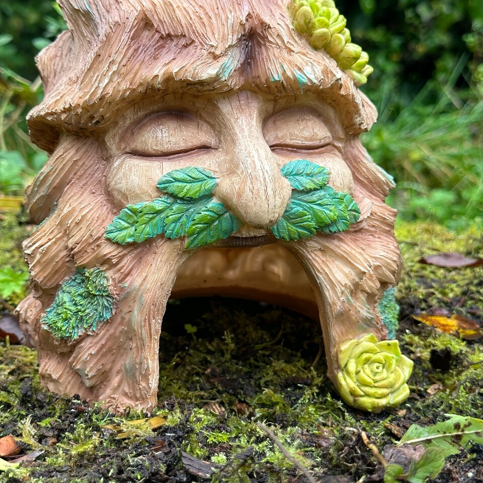 image 1 of Animal Crackers Frog Toad House Novelty Shelter For Frogs And Other Wildlife