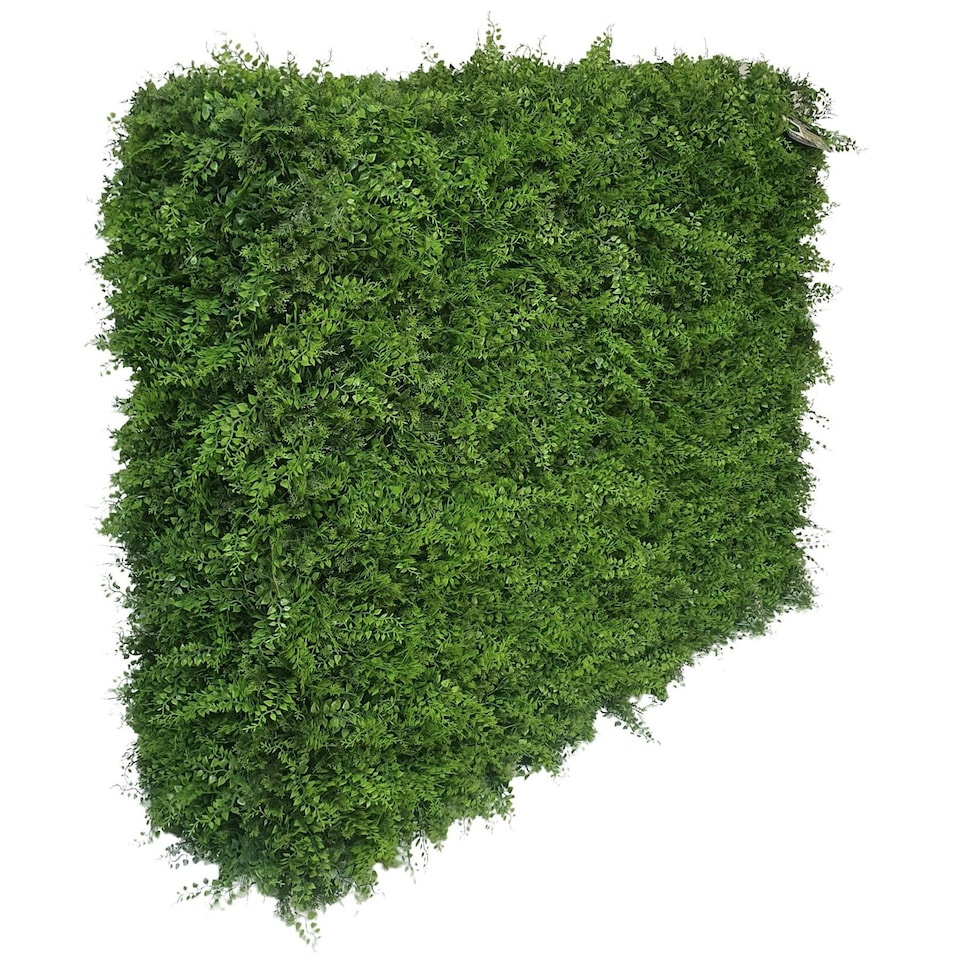 image 1 of True Products Premium Freestanding Artificial Fern Hedge on Metal Frame - Medium